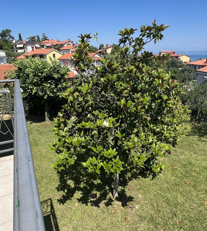איזולה Magnolia Apartments מראה חיצוני תמונה